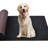 Whitting Indoor / Outdoor Rug-125389572