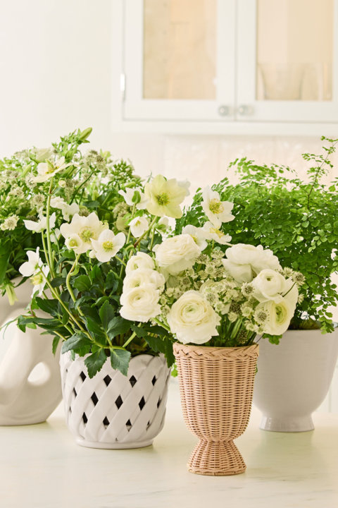 Vases