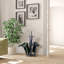 4 Pair Shoe Rack