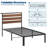 Twin Bed Frame with Lighting and Charging Headboard