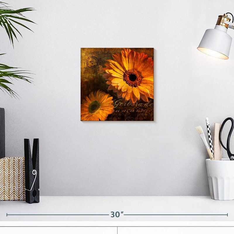 Harnek Gerbera II, H 10 po x l 10 po