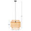 Luminaire suspendu Hickerson