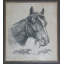 Gallant Fox Print by Palenske