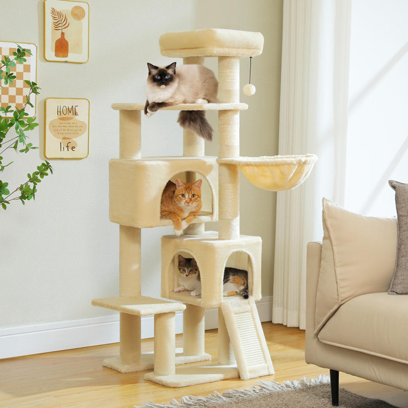 Arbre à chat, Beige