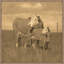 Morning Pastures Print by Sam Nash-785487115