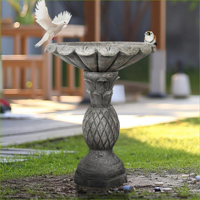 Bains d'oiseaux | Bain d'oiseaux de jardin moderne d'extérieur H 24,8 po | Ciment en béton | Piédestal