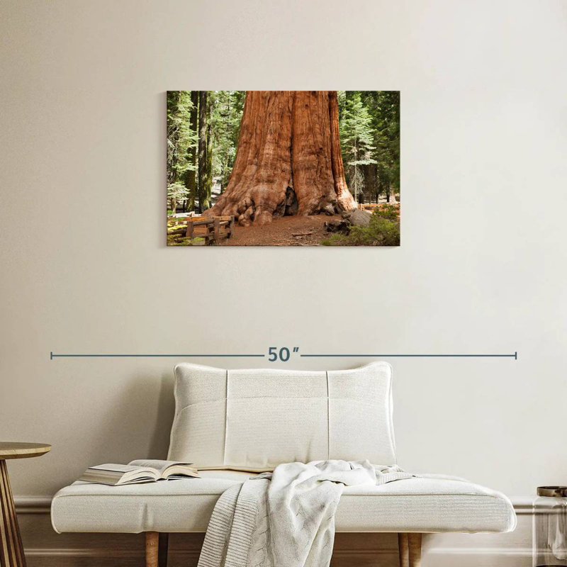 Harnek Ancient Sequoia Tree, 20" H x 30" W