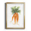 Garden Fresh Carrots - Reproduction de photo encadrée sur papier-240138716-240138706