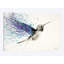 «Hummingbird Garden», impression sur toile-32113556-72032439-72032440