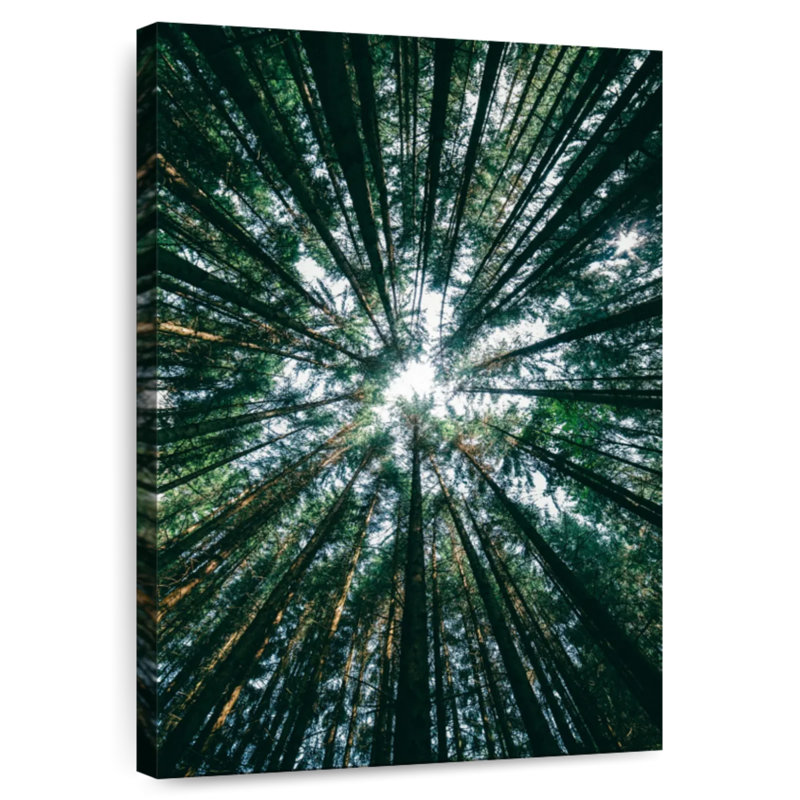 Harnek Pine Tree Grove, 39" H x 26" W
