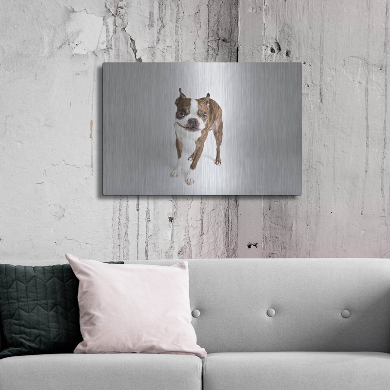 " Kevin " by Susan Sabo, 24" H x 36" W