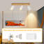 Shelvia Spotlight-612993385