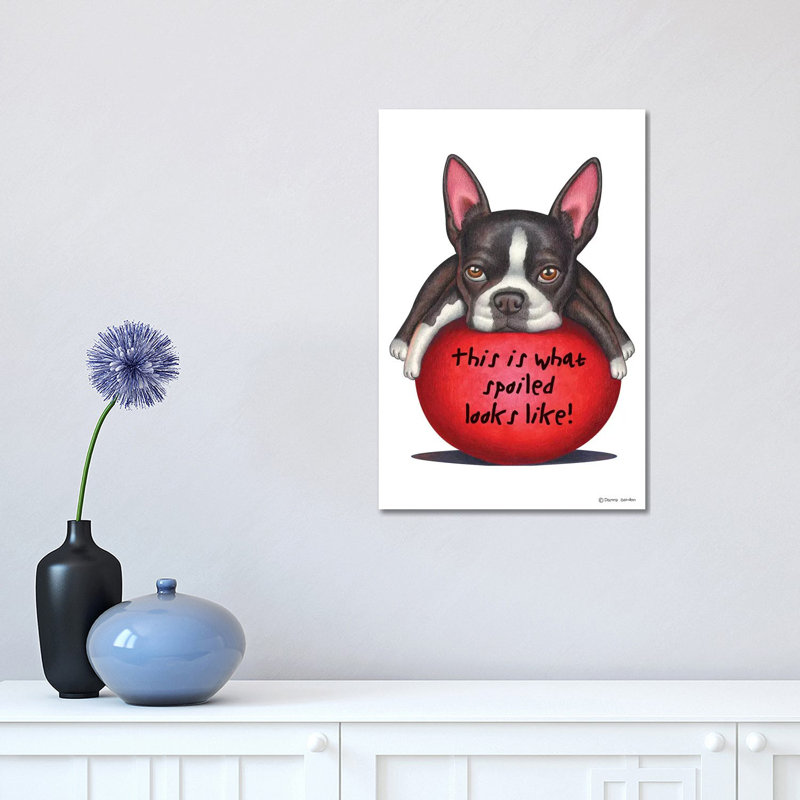 Boston Terrier Spoiled Looks Like by Danny Gordon - Print on Canvas, Wrapped Canvas, 30.48 cm H x 45.72 cm W