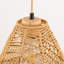 Ariauna 1 - Light Brown Unique/Statement Pendant