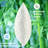 Memory Foam；Polyester Soft-Medium Cooling Pillow