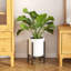 Plant Stand