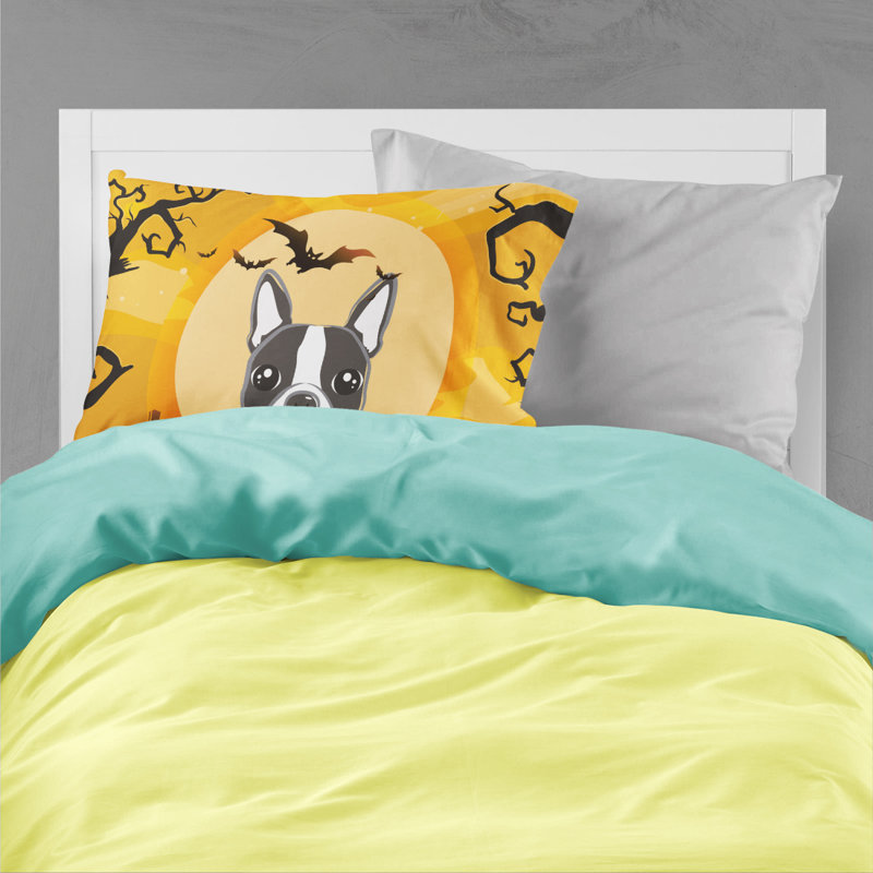 Microfiber, Boston Terrier