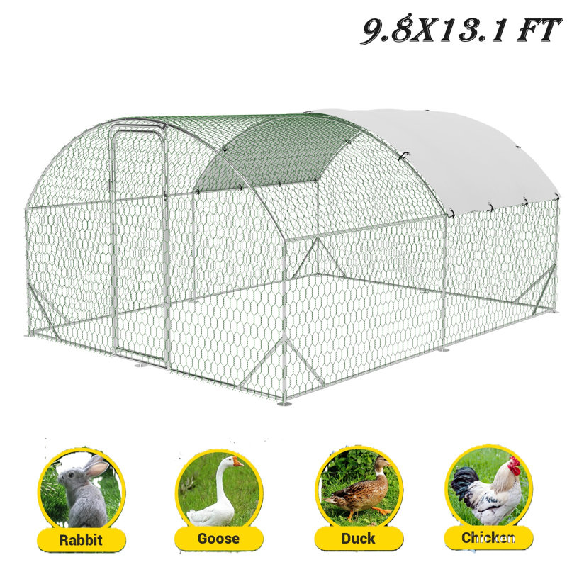 Geraud Chicken Run with Chicken Run, 78" H x 118" W x 157.49" D