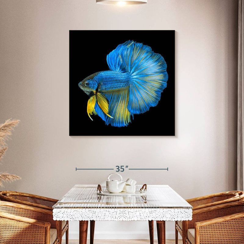 Crowle Halfmoon Betta Fish, 39" H x 39" W