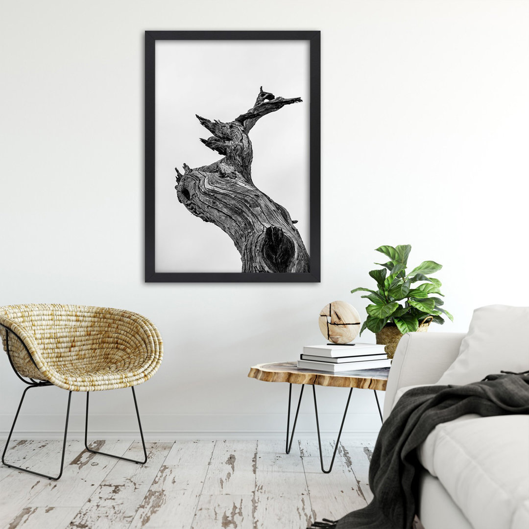 Gerahmtes Poster Dry Tree Branch