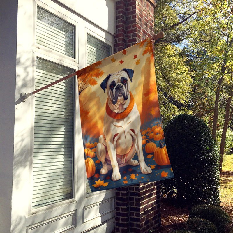 Drapeau de maison en polyester à double face H 40 po x l 28 po