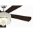 Bindner 12'' Ceiling Fan with LED Lights