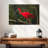 Brampt Red Ibis Bird-108707149