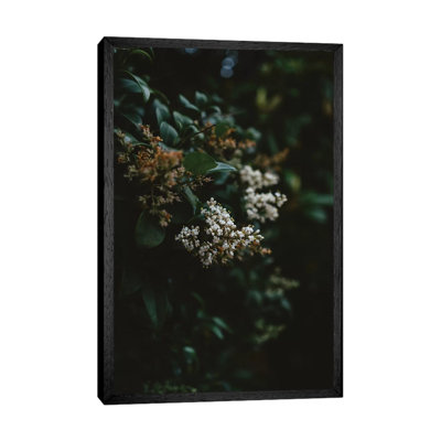 Washington Blooms 1 Piece Wall Art on Canvas