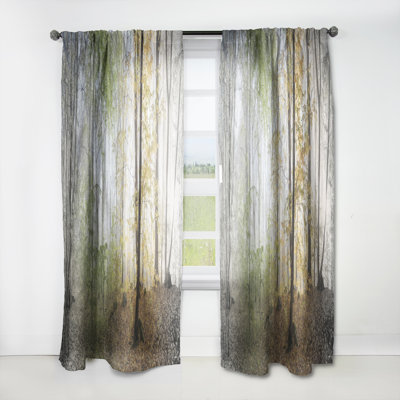 Forest Velvet Curtain Panel, Morning Nature Room Darkening Decor - Morning Forest Panoramic View