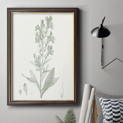 «Botanical Study in Sage III», peinture sur toile encadrée