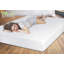 Cielo back care foam mattress-69401239