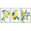 «Kitchen Food Watercolor Lemon Fruits», reproduction sur toile encadrée de 3 pièces-91874947-91874948