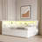 Daybed With Usb Ports And Led Belt And Trundle