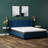 Lifesky Cooling Queen Mattress For Apartments: 8 Inch Firm Gel Memory Foam Bed - Pcm Cooling Cover For Hot Sleepers & Back Pain Relief - Medium Firm Support For Side & Back Sleepers