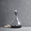 Wine and Bar 25.36 oz. Wine Decanter
