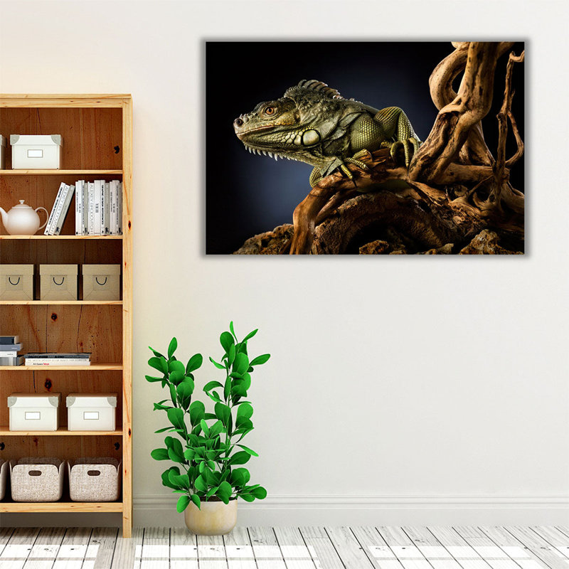 Iguana Lizard on a Tree Branch, Reptile Photography - Canvas Print Wall Art, 20" H x 30" W