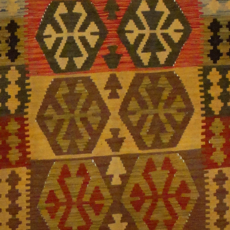 Azpeitia Wool Southwestern Indoor Rug