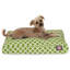 Coussin sauge / classique-11376309-15378826