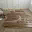 Customer photo 3 of 4