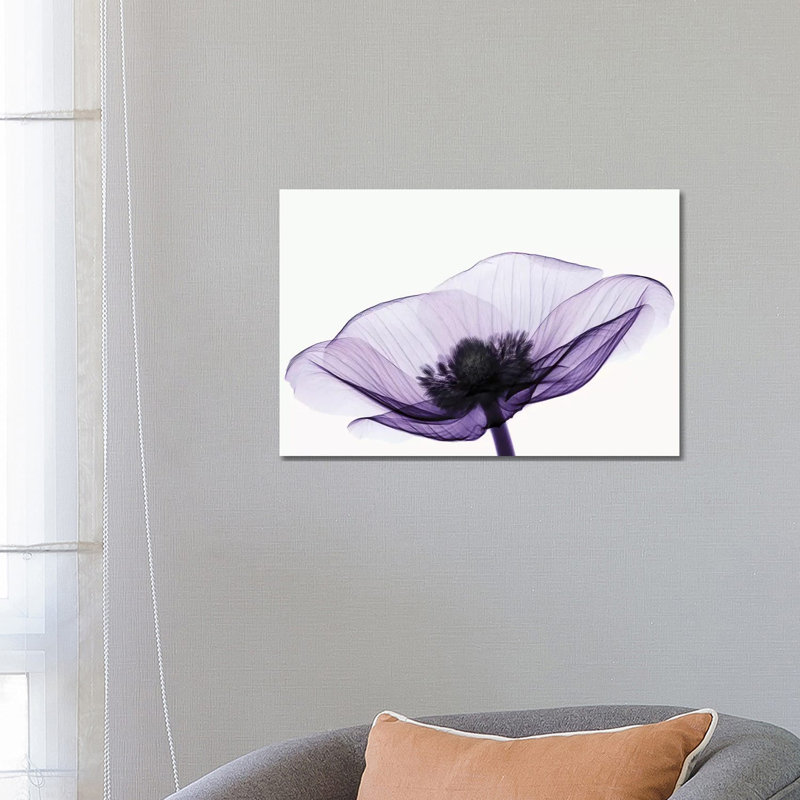 Anemone II - Print on Canvas, 66.04 cm H x 45.72 cm W, Wrapped Canvas