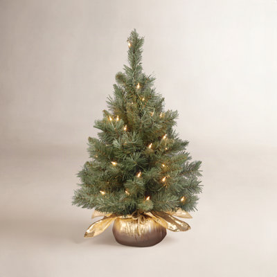 2' Majestic Fir Lighted Tabletop Tree