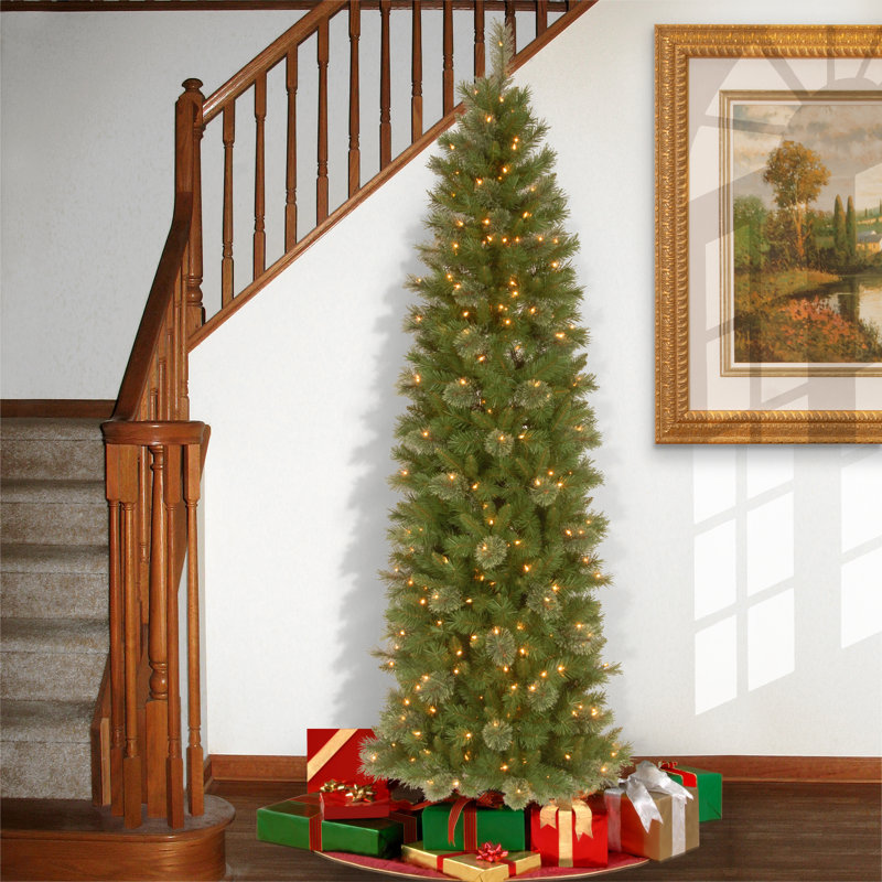 Tacoma Pine Pencil Slim Tree with Clear Lights, 6.5'