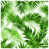 Light Green White
