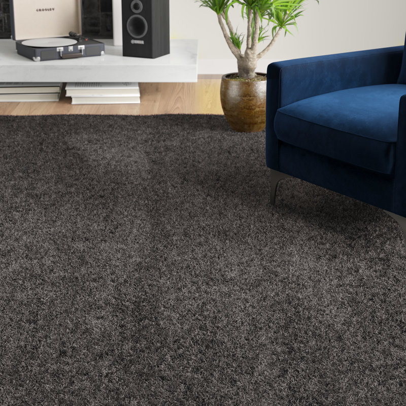Tapis gris graphite Ruttger, Rectangulaire 6 pi 1 po x 9 pi