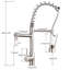 Belfry Kitchen Cyron Pull Out Kitchen Faucet