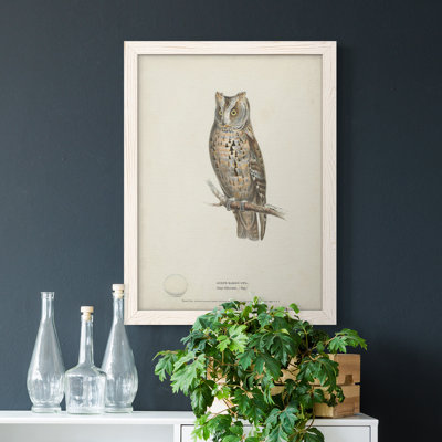 " Scops- Eared Owl " Painting
