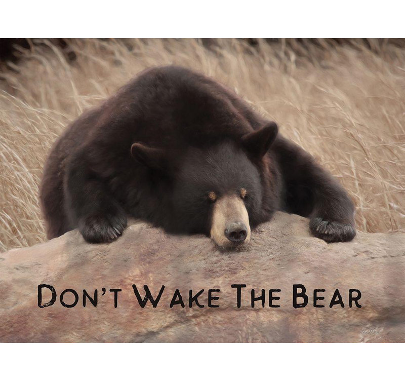 Art sur toile tendue par Millwood Pines Deiter, Lori Gallery: Dont Wake the Bear, H 19 po x l 24 po