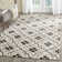 Rodrigez Hand Hooked Performance Geometric Rug