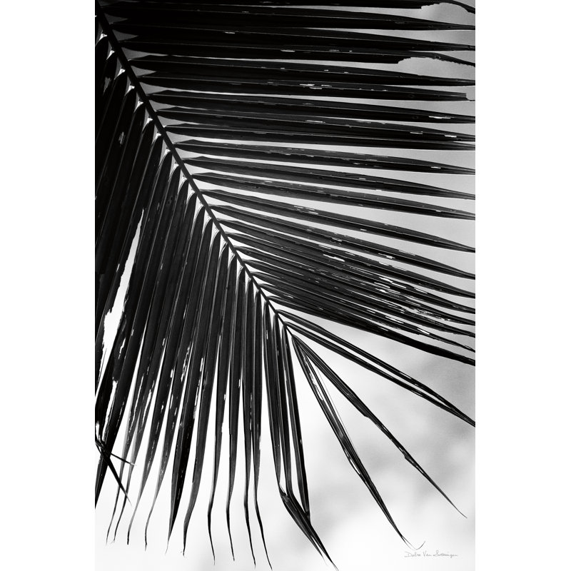 " Palm Frond II " by Debra Van Swearingen, 12" H x 8" W