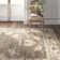 Atena Oriental Gray Area Rug